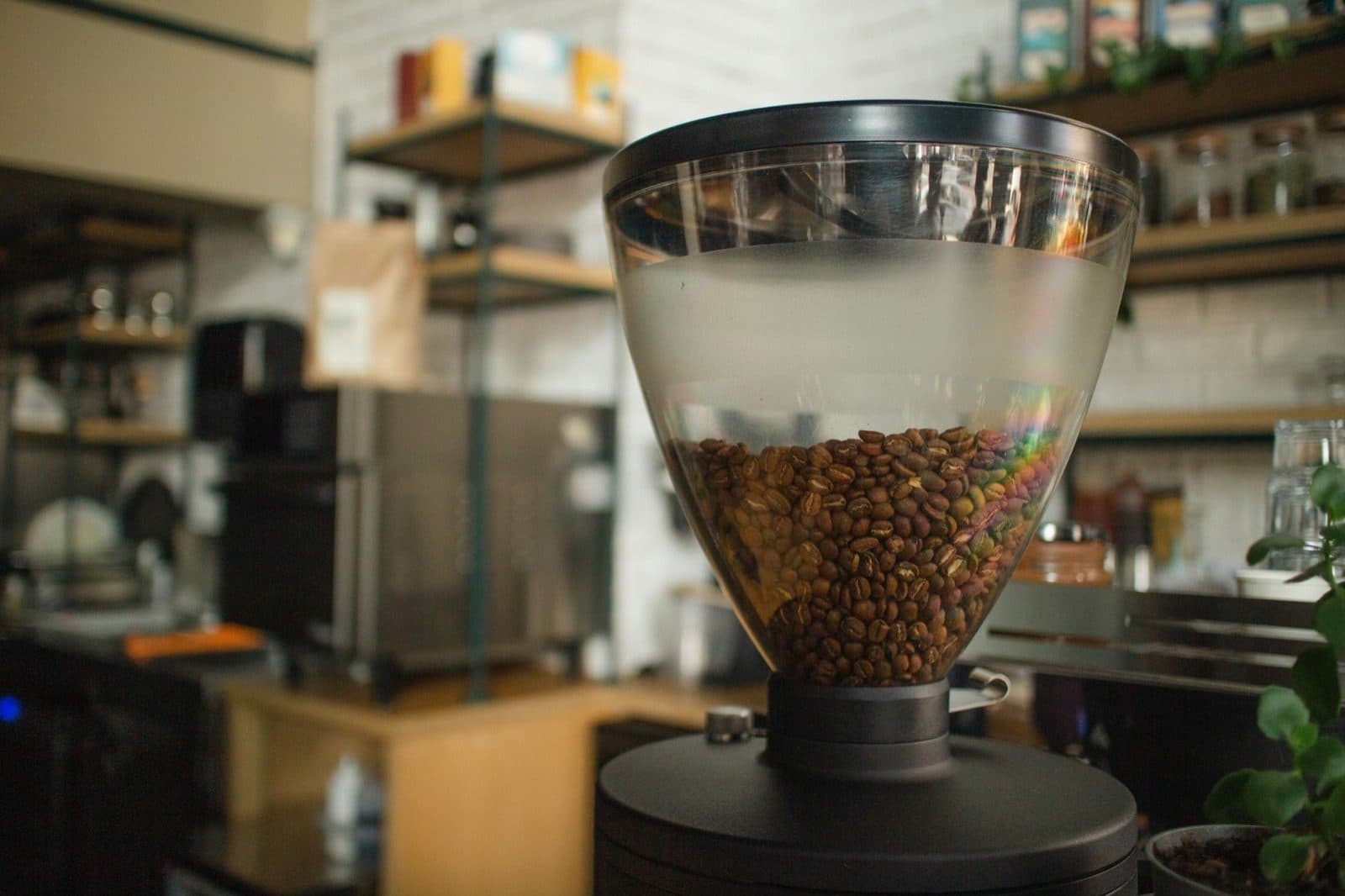 Clear plastic hopper half-filled with roasted coffee beans on a black cafe grinder.